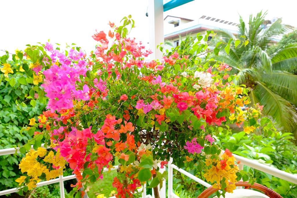 Adonis Guest House Patong Luaran gambar
