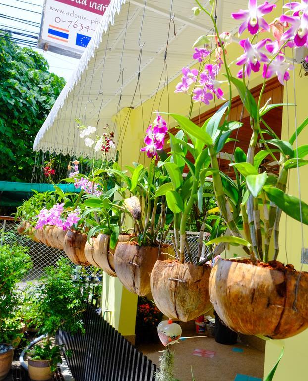 Adonis Guest House Patong Luaran gambar